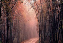 英超特攻|阿莫林領曼聯第一擊 紅魔由「治」及興.