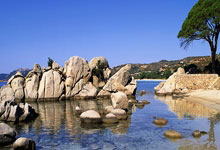 江南体育官方网站:羅德裏戈:安帥給了我打9號位,不喜歡但嘗試適應.